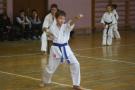 images/phocagallery/zim_shkola_2-5-2016/pervenstvo_kraya_po_kata_2016/img_8857.jpg