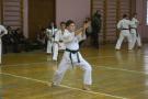 images/phocagallery/zim_shkola_2-5-2016/pervenstvo_kraya_po_kata_2016/img_9285.jpg